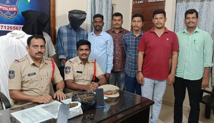 Two arrested for smuggling ganja
